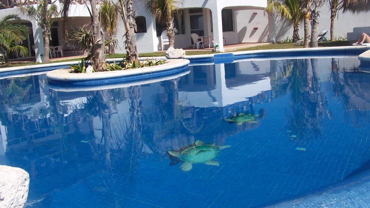 Photo of Outdoor in Akumal