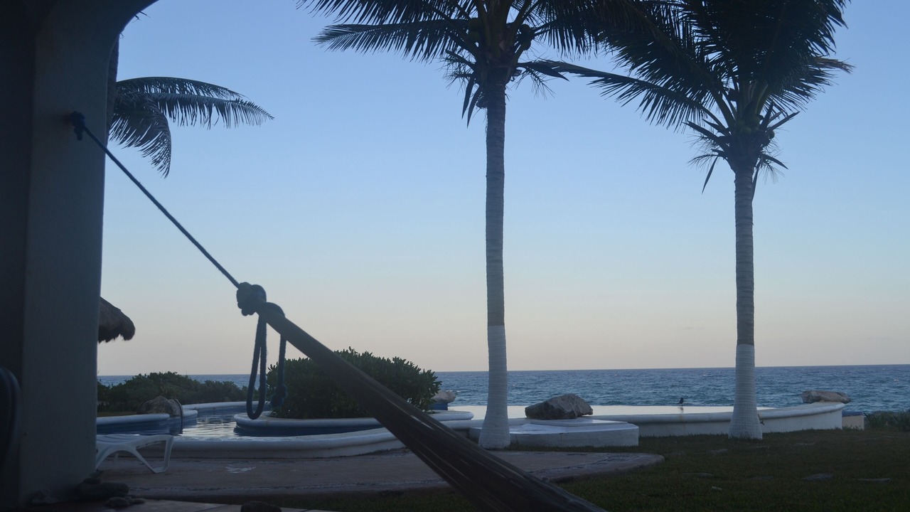 Photo of Others in Akumal
