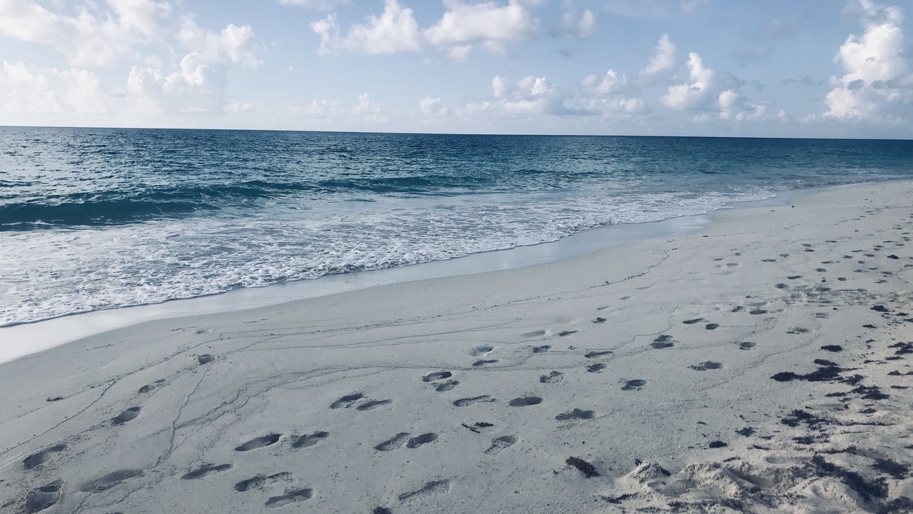 Photo of Others in Playa del Secreto