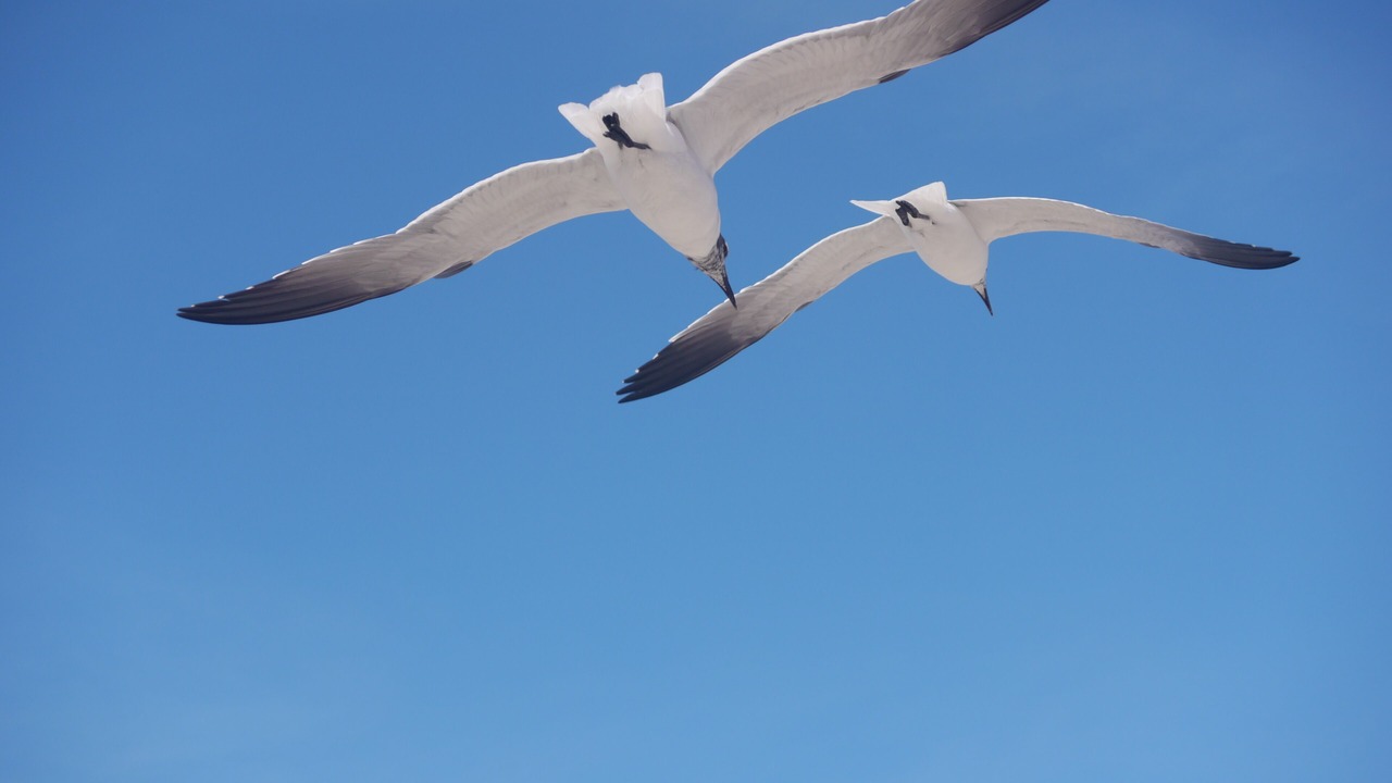 Photo of Others in Isla Mujeres