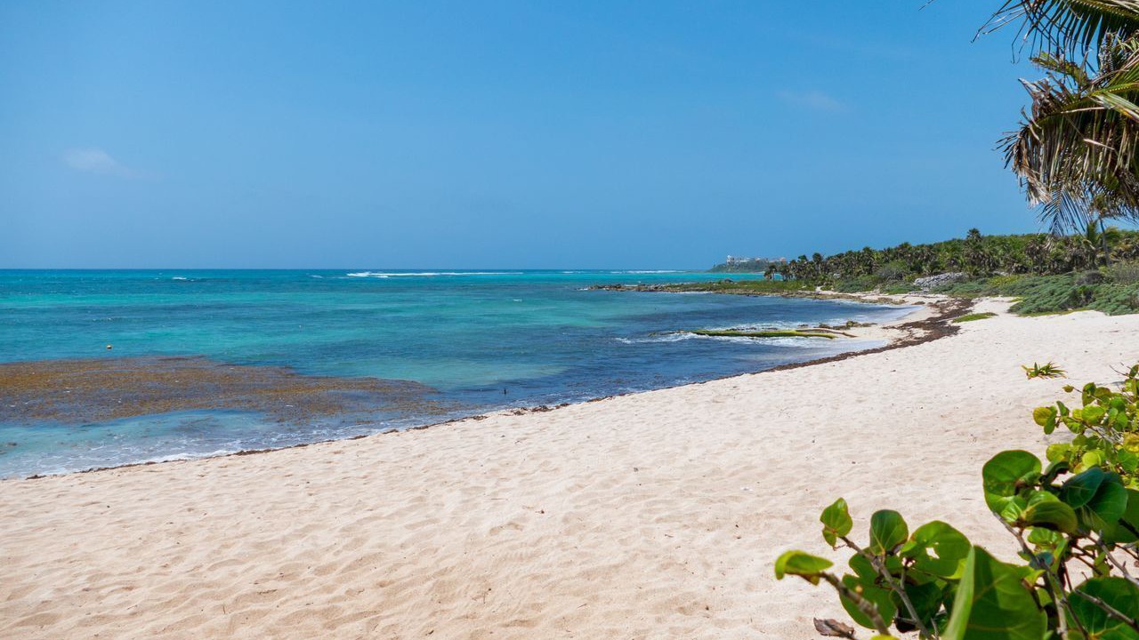 Photo of Others in Akumal