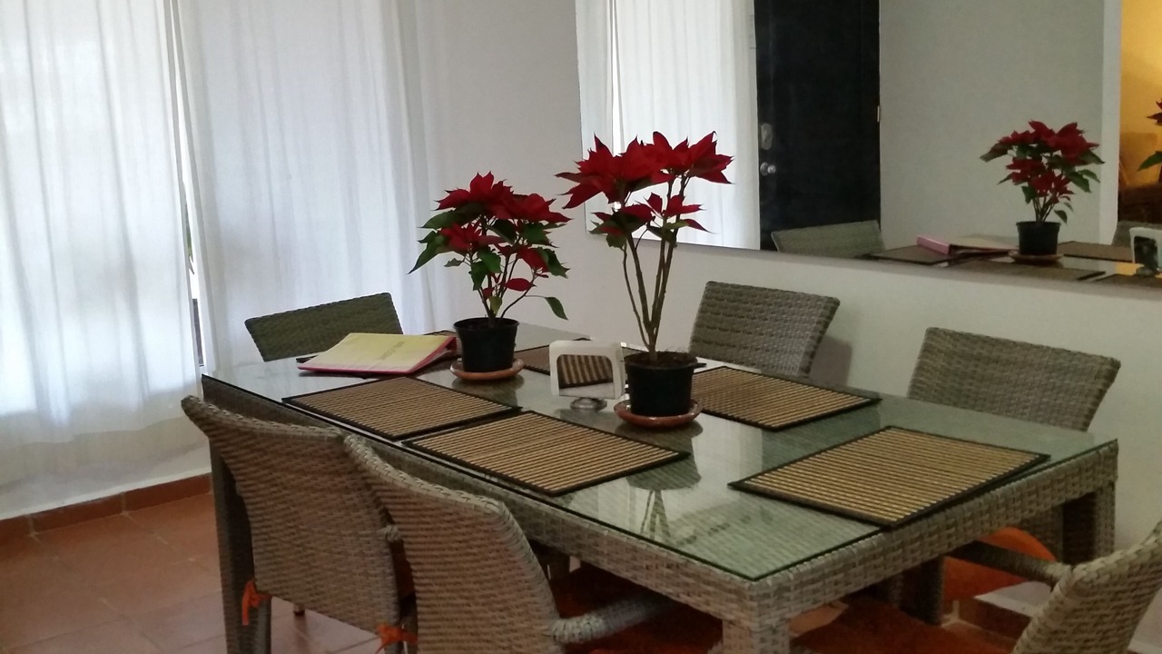 Photo of Livingroom in Villas Tulum