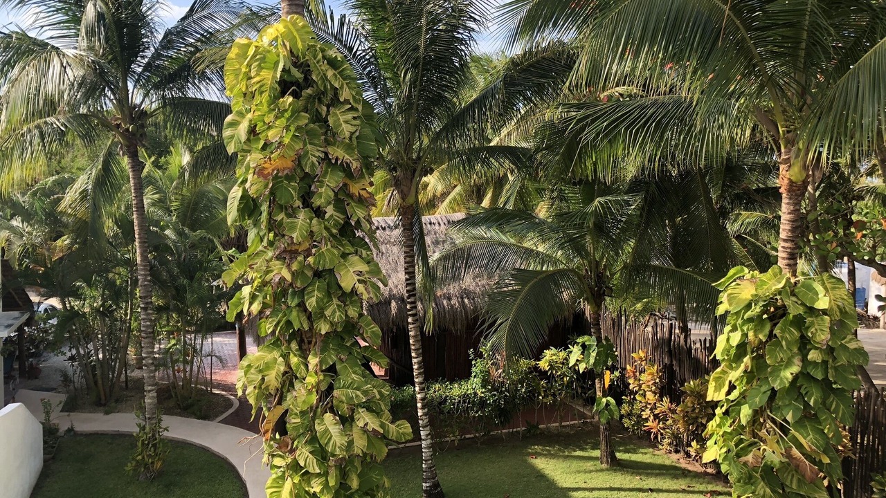 Photo of Outdoor in Soliman Bay
