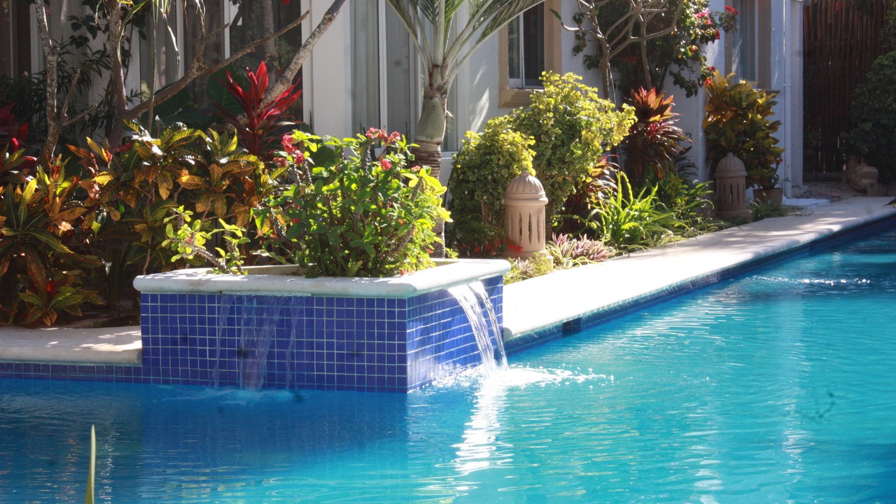 Photo of Outdoor in Akumal