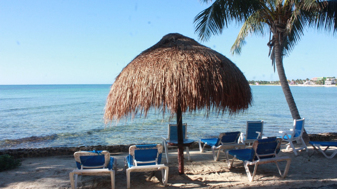 Photo of Others in Akumal