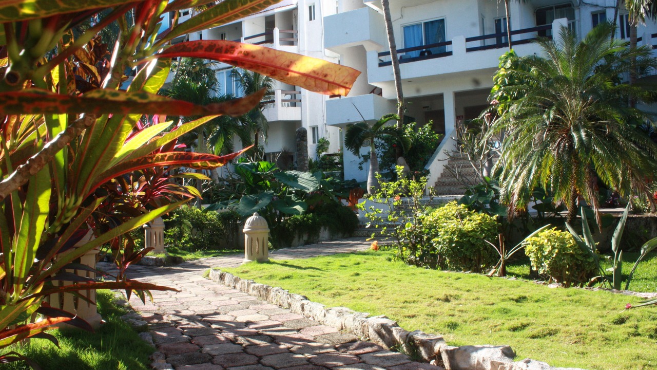 Photo of Outdoor in Akumal
