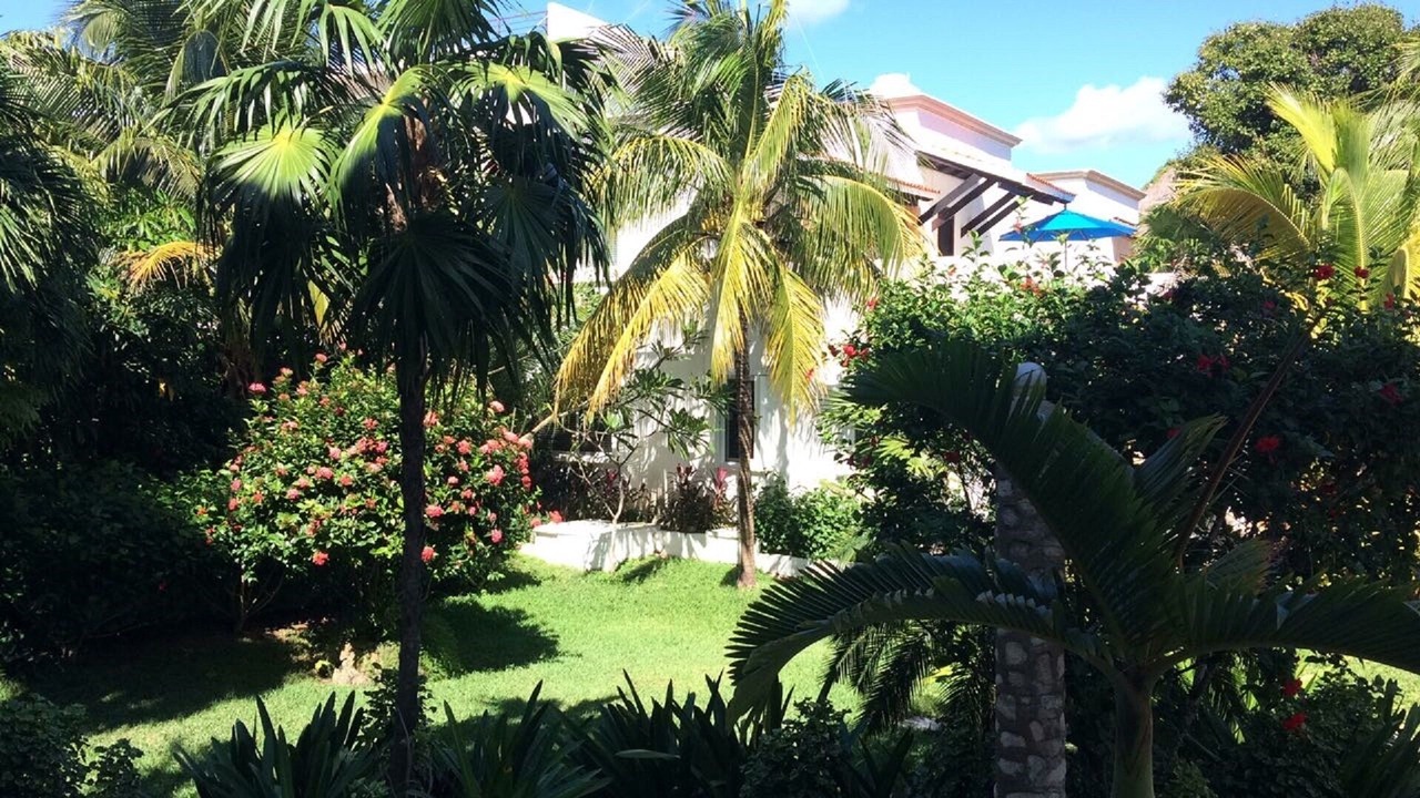 Photo of Outdoor in Akumal