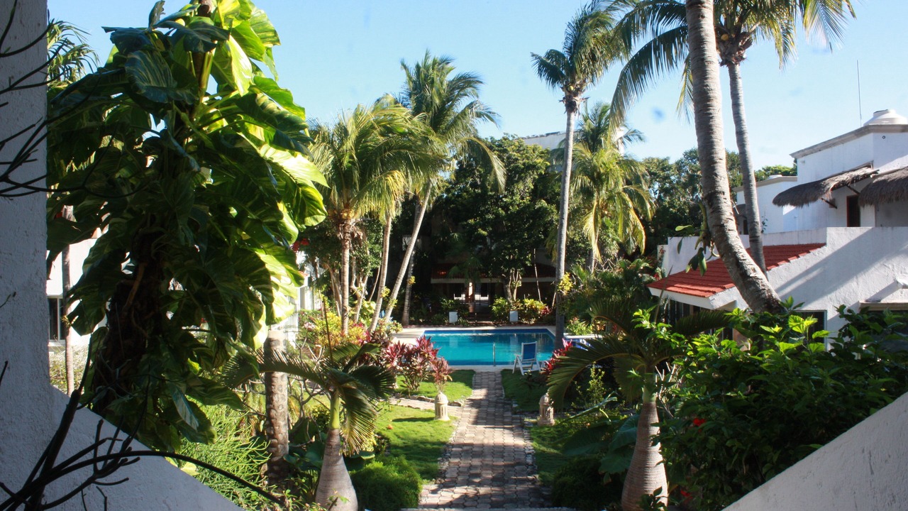 Photo of Outdoor in Akumal