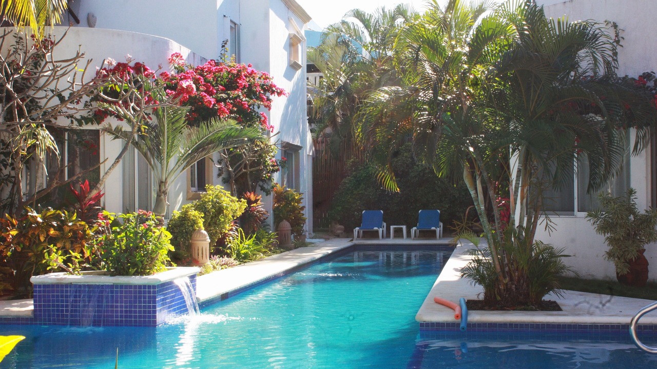 Photo of Outdoor in Akumal