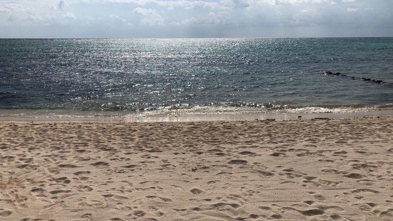 Photo of Others in Soliman Bay