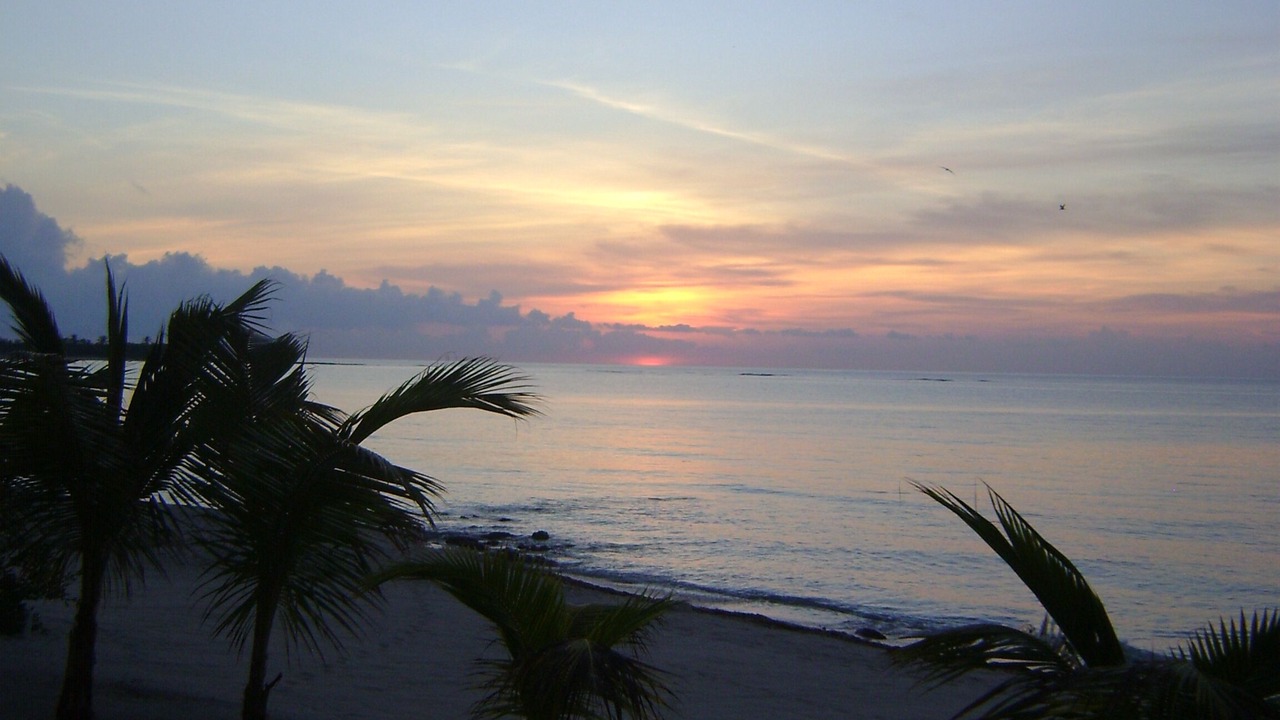 Photo of Others in Soliman Bay
