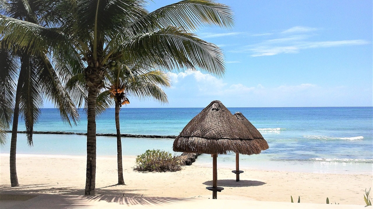 Photo of Others in Puerto Aventuras