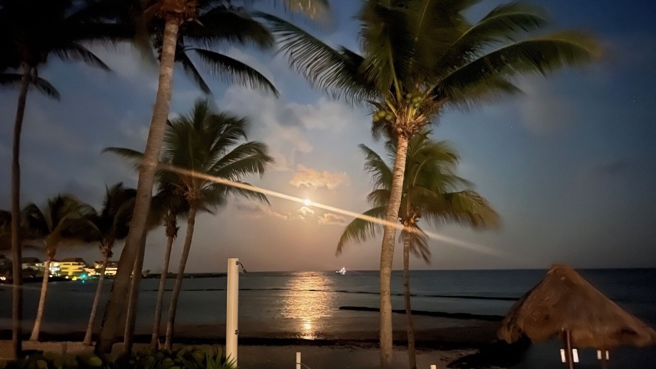 Photo of Others in Puerto Aventuras