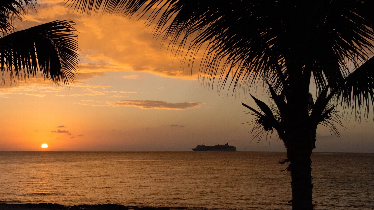 Photo of Others in Cozumel