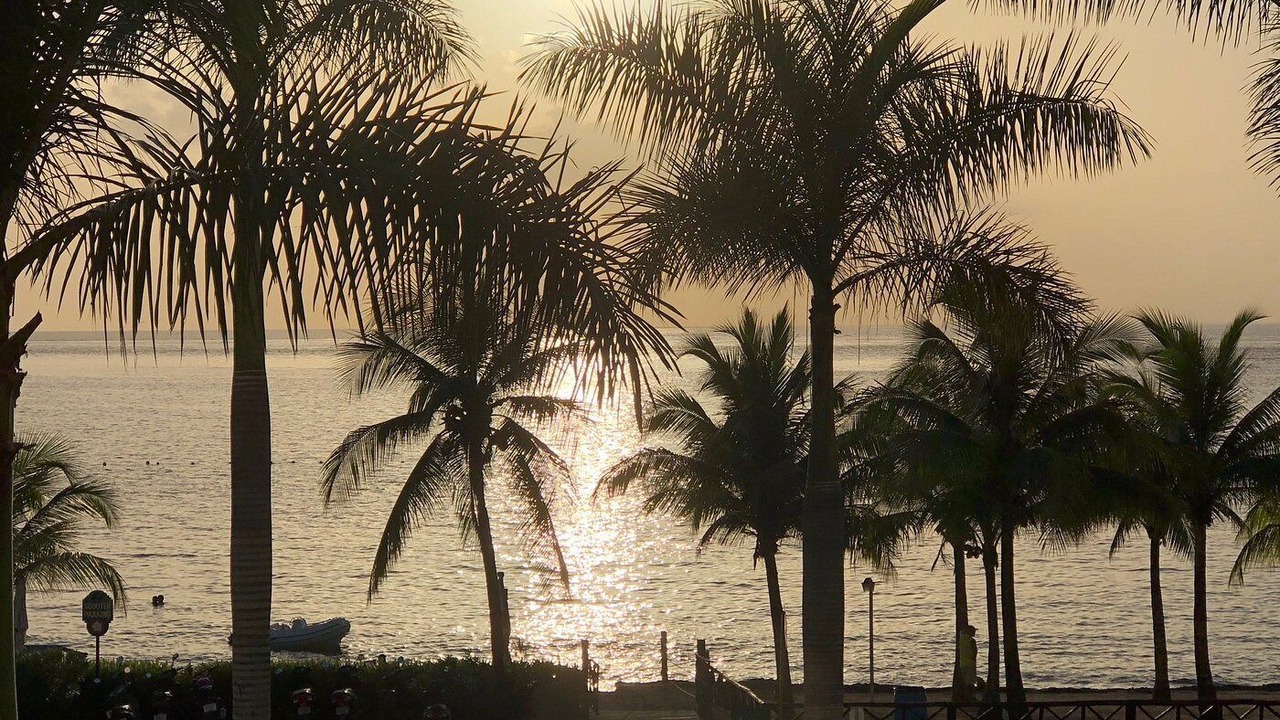 Photo of Others in Cozumel