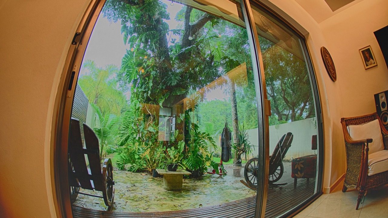 Photo of Others in Chetumal