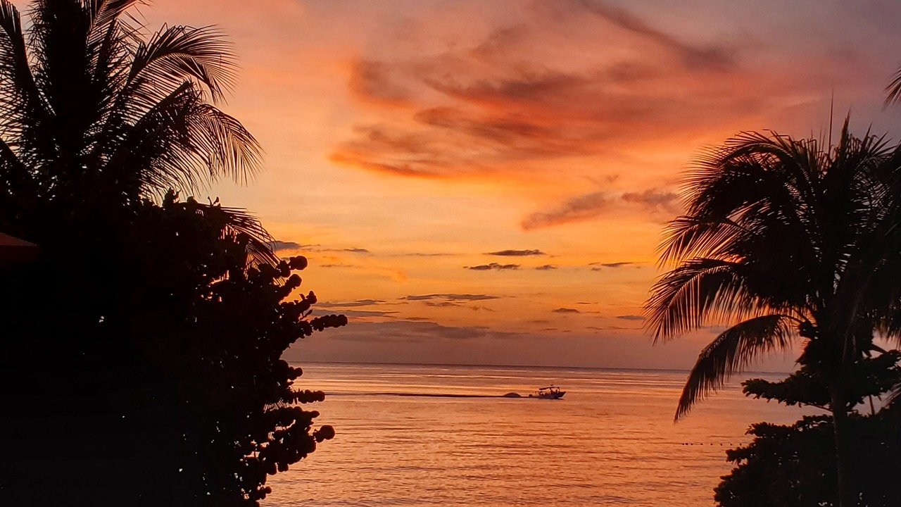 Photo of Others in Cozumel