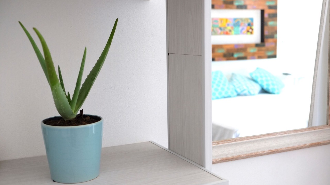 Photo of Bedroom in Mahahual