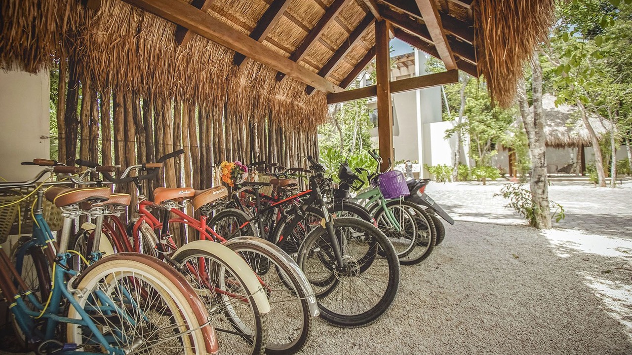 Photo of Outdoor in Tulum