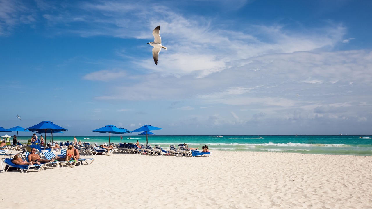 Photo of Others in Playacar