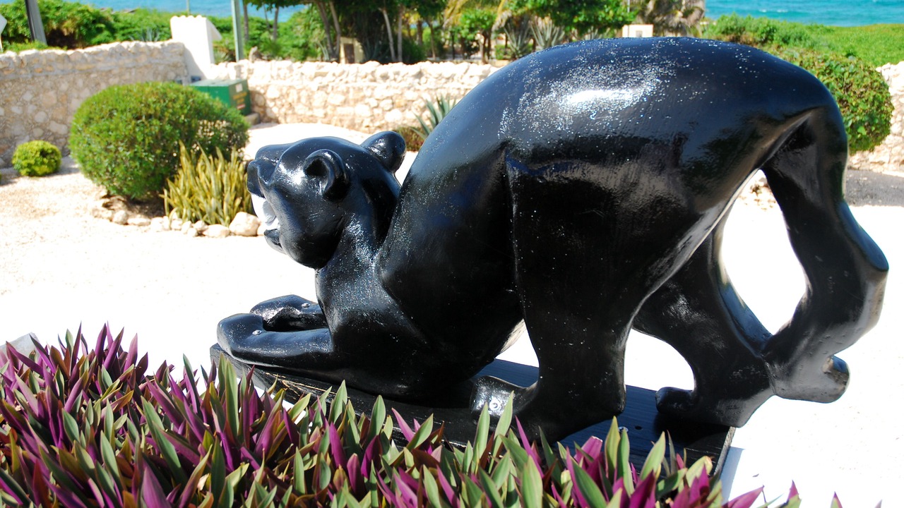 Photo of Outdoor in Isla Mujeres