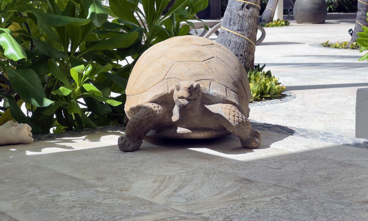 Photo of Others in Puerto Morelos