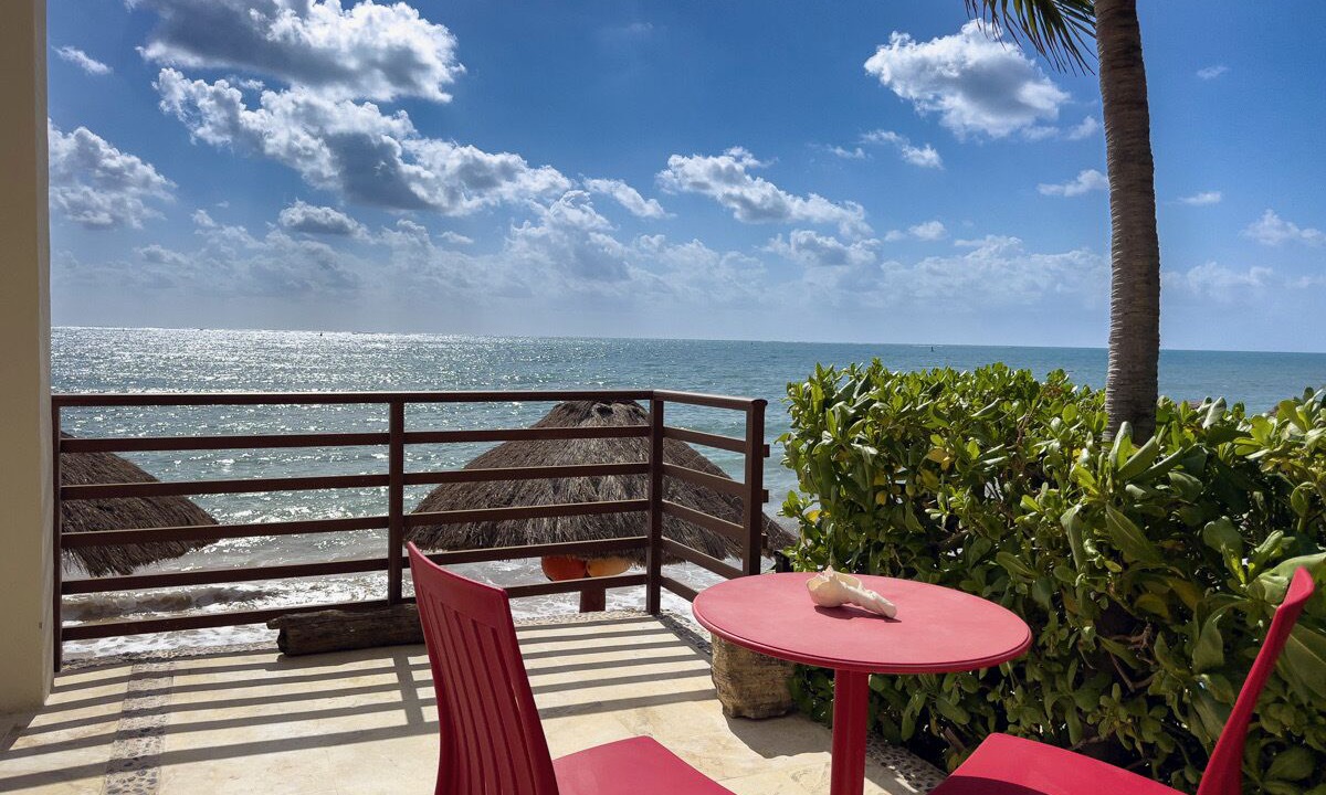 Photo of Others in Puerto Morelos