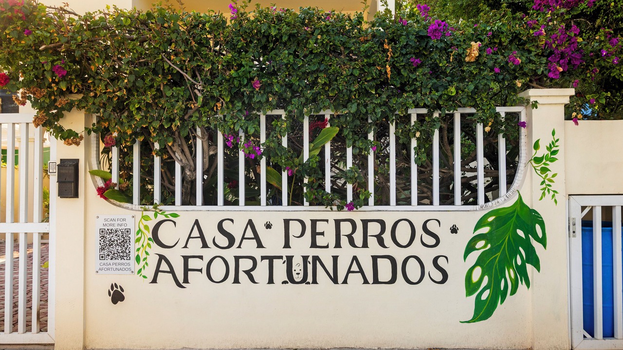 Photo of Others in Puerto Morelos
