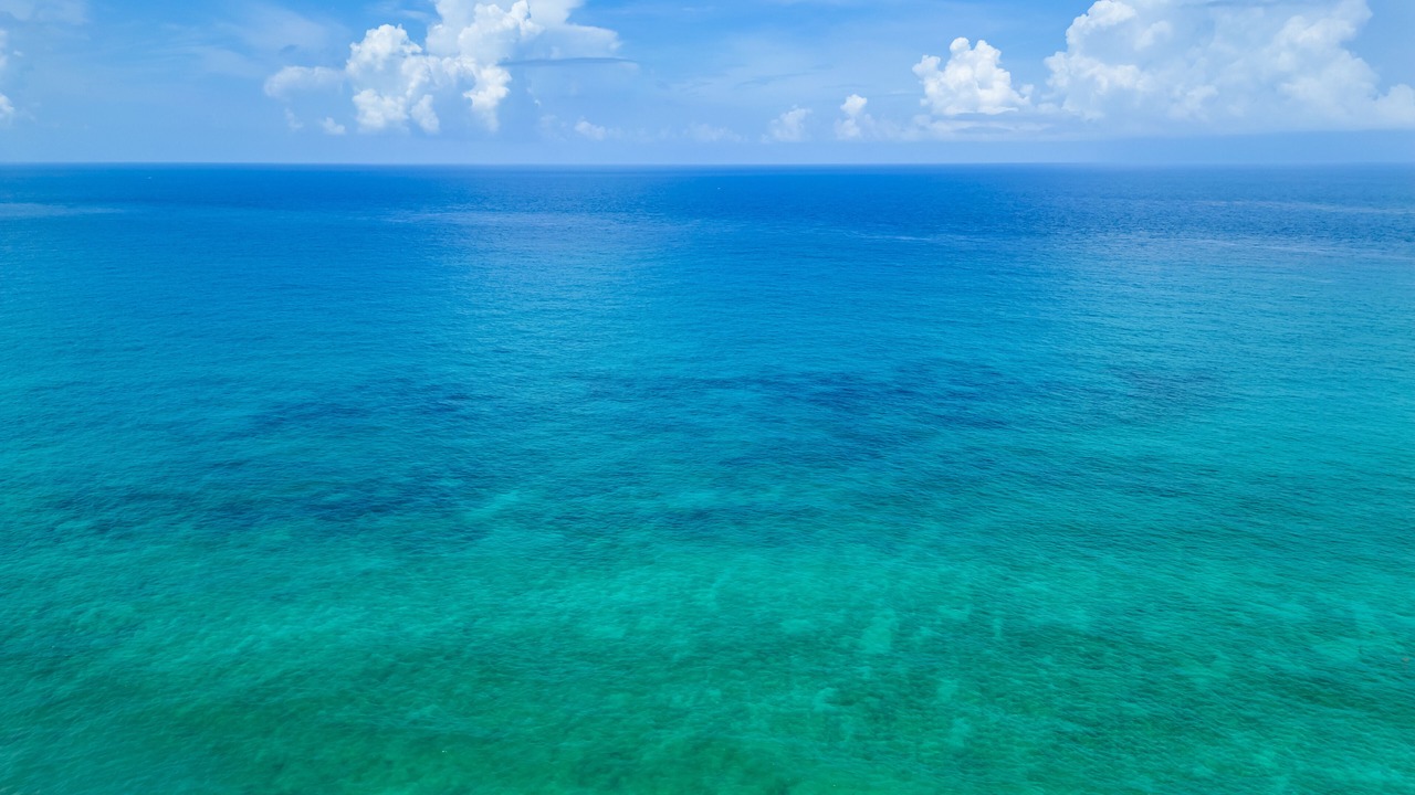 Photo of Others in Isla Mujeres