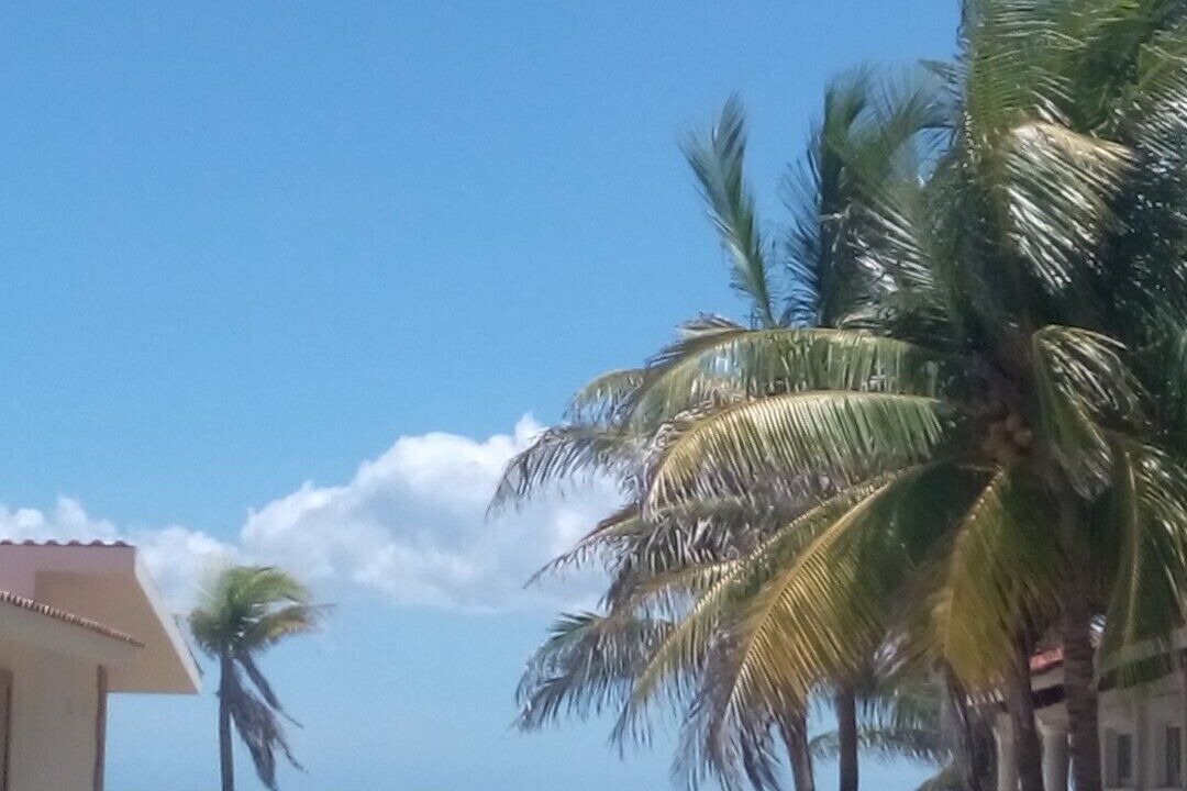Photo of Others in Playacar Beach