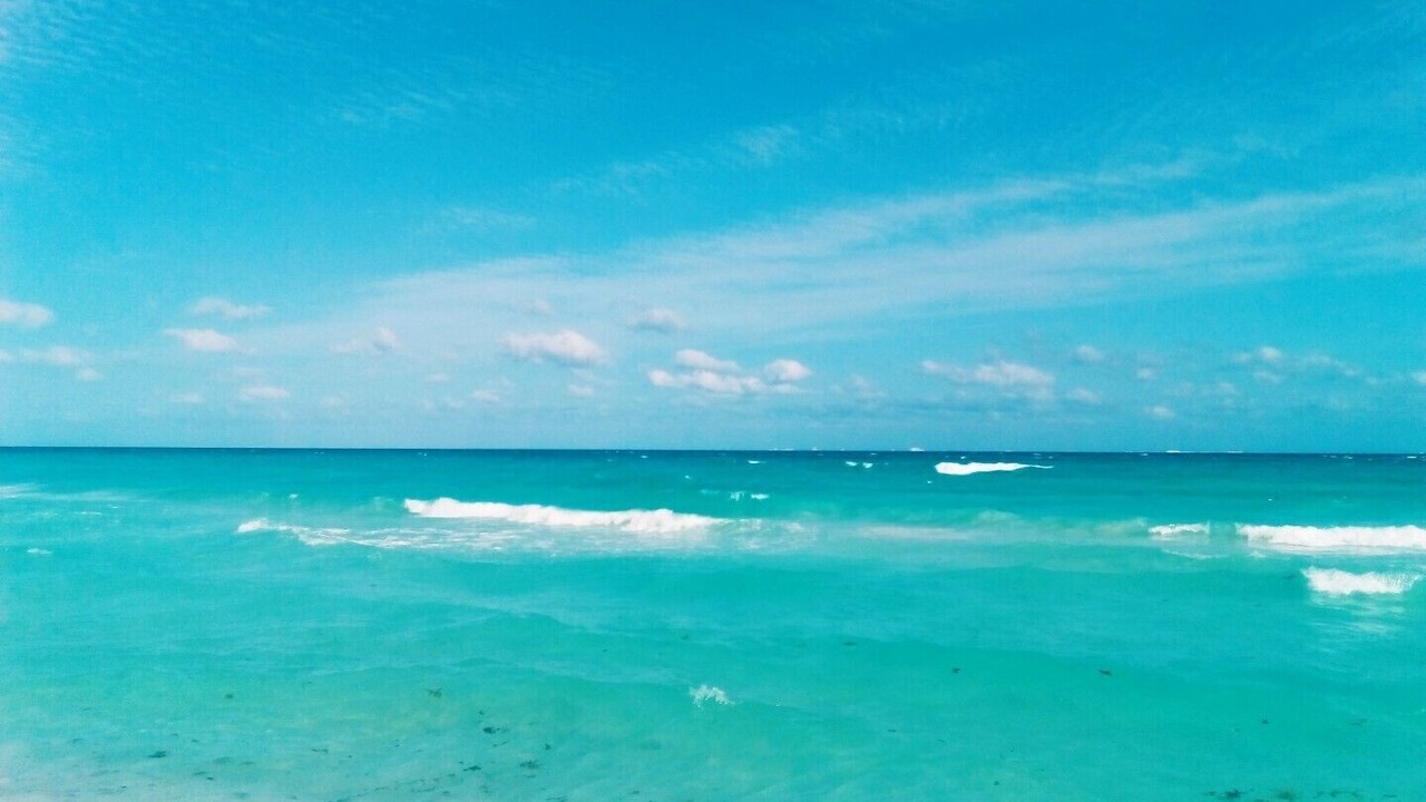 Photo of Others in Playacar Beach