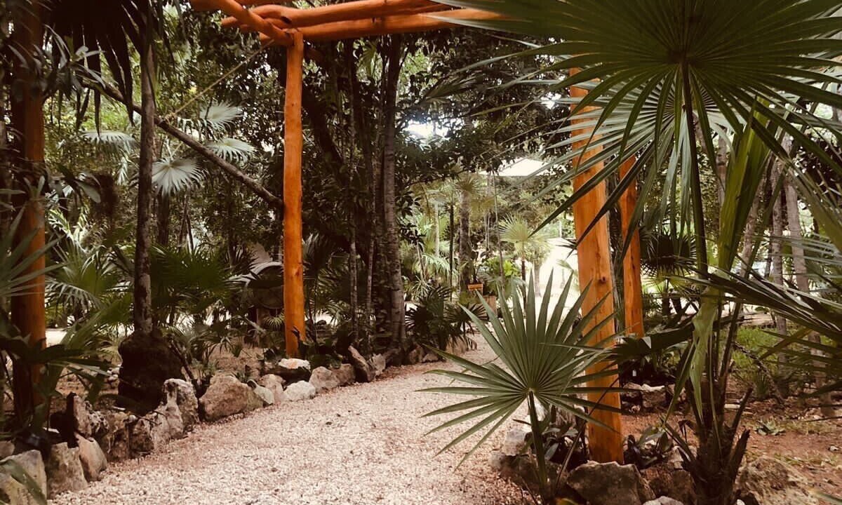 Photo of Outdoor in Tulum City Center