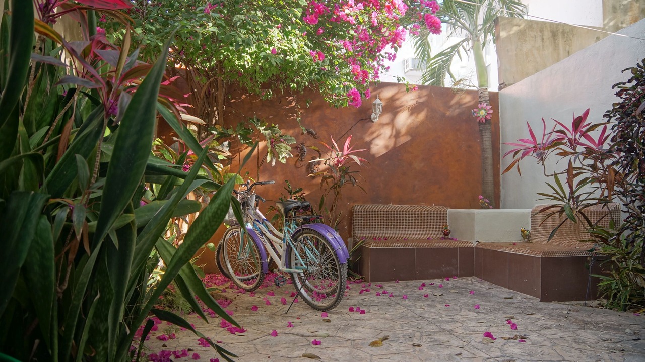 Photo of Outdoor in Villa Juarez