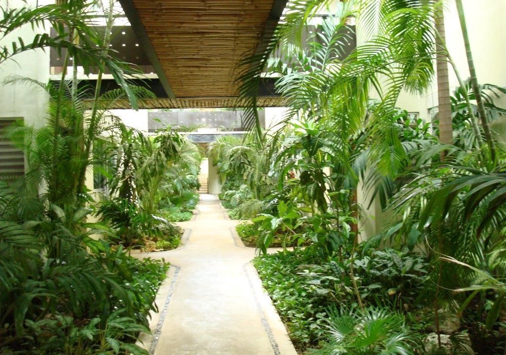 Photo of Outdoor in Zazil-ha