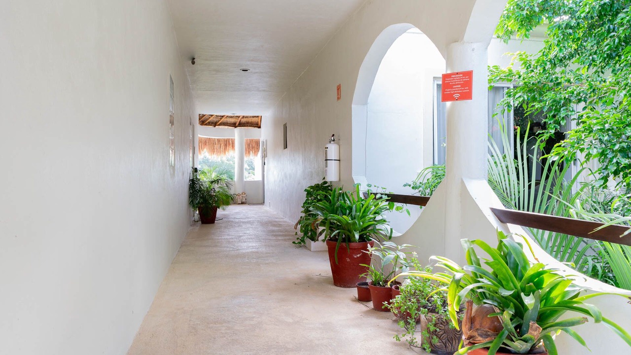 Photo of Others in Playacar