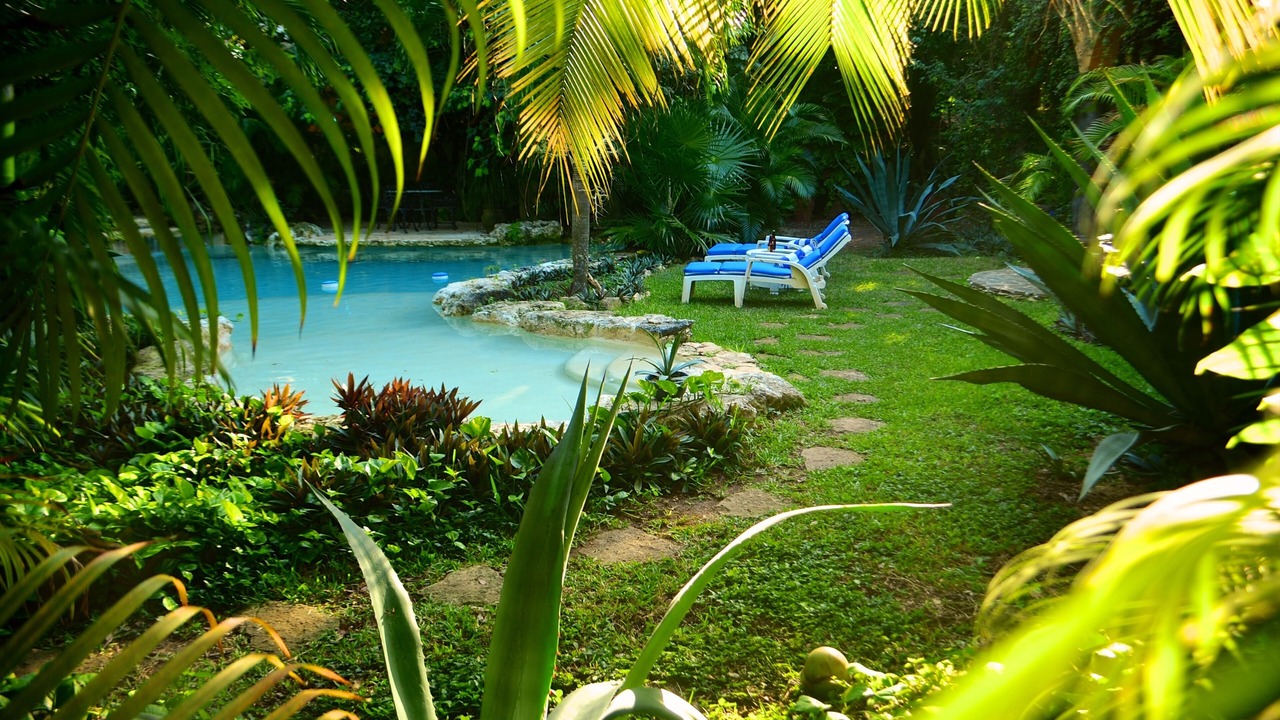 Photo of Outdoor in Xcaret