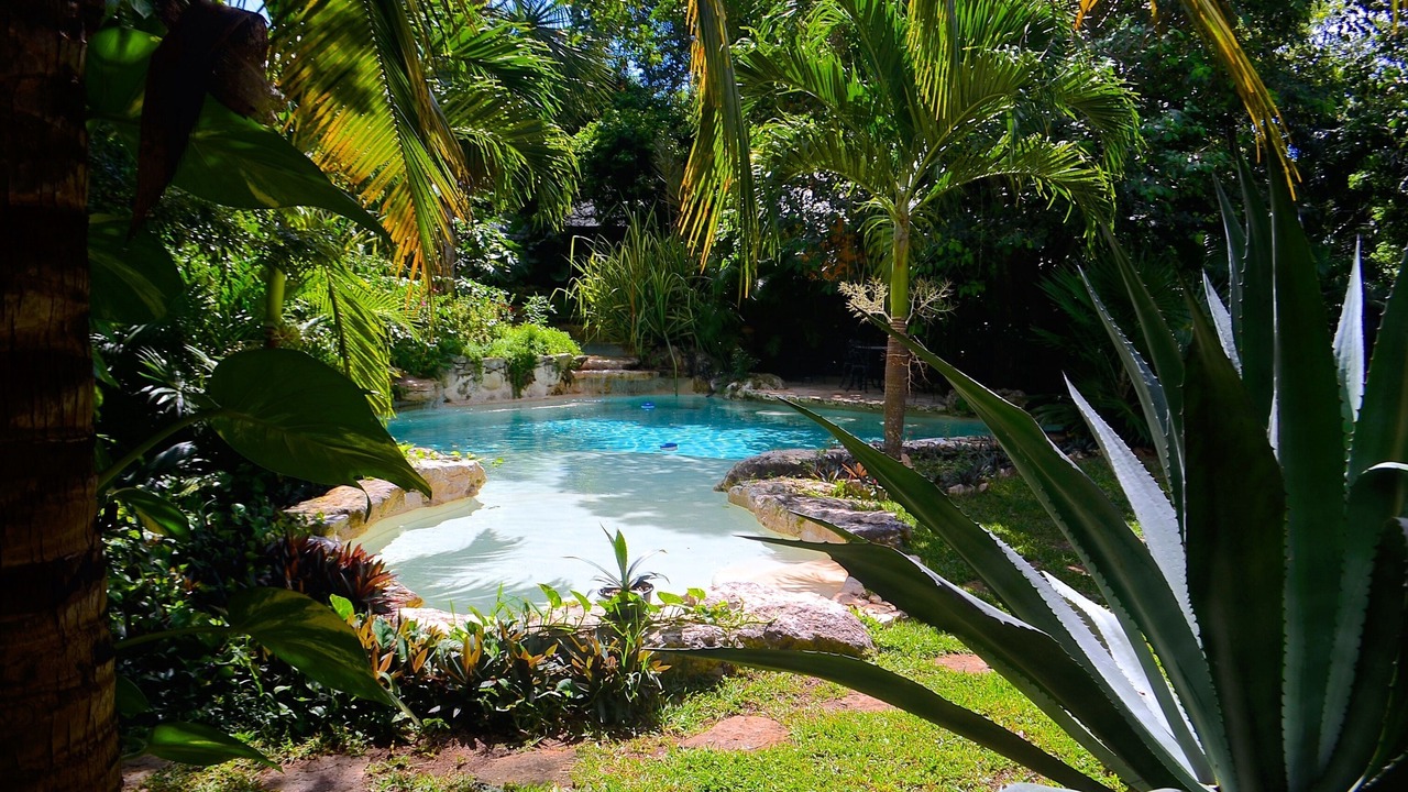 Photo of Outdoor in Xcaret