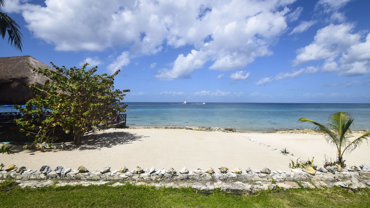 Photo of Others in Cozumel