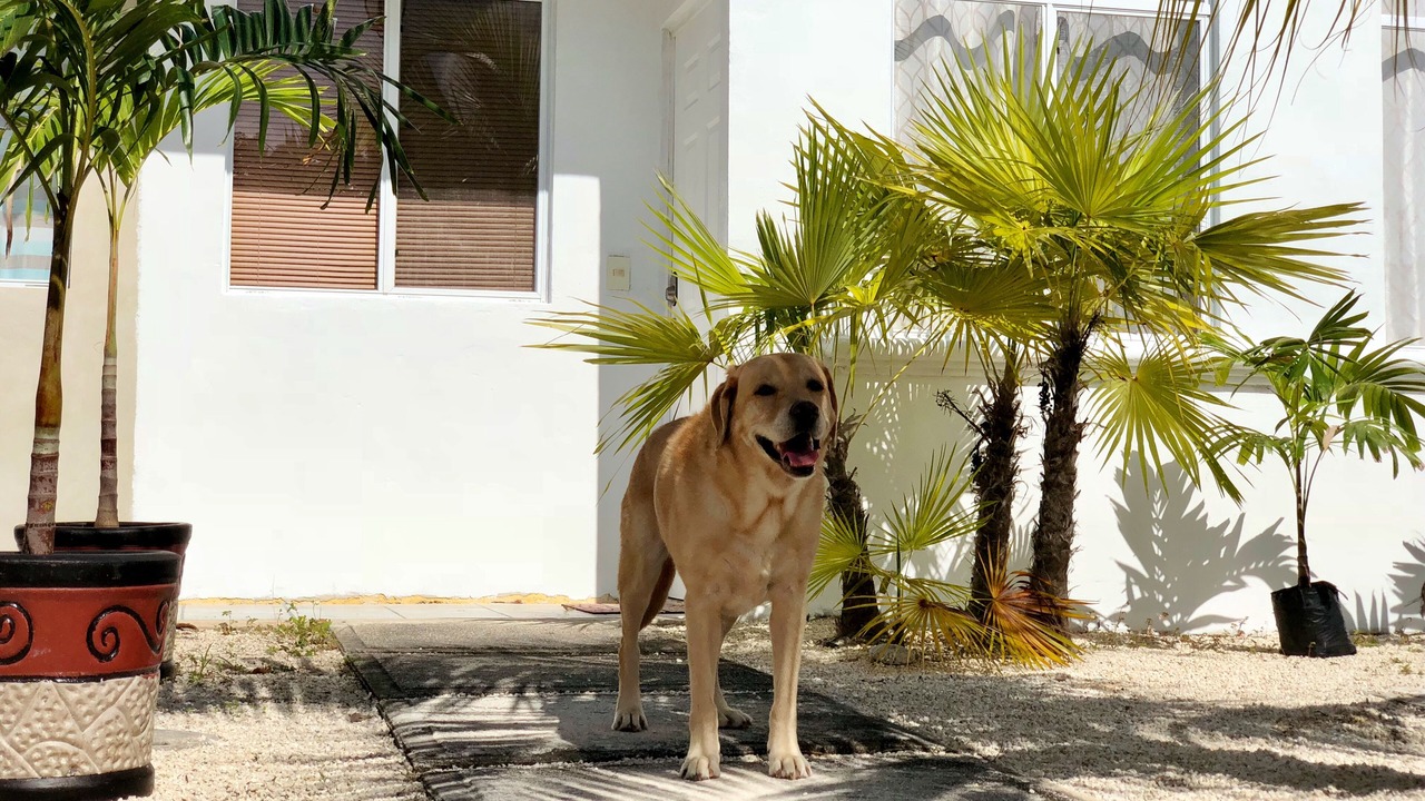 Photo of Outdoor in Puerto Morelos