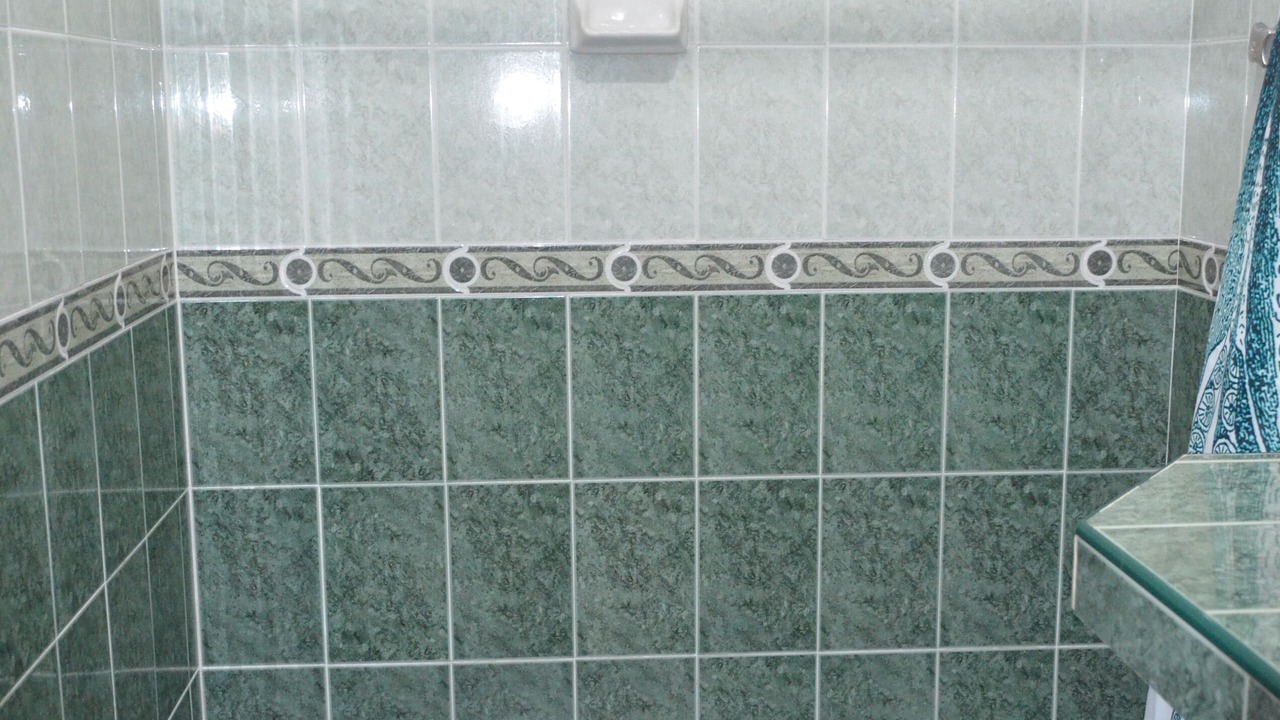 Photo of Bathroom in Colonia Andres