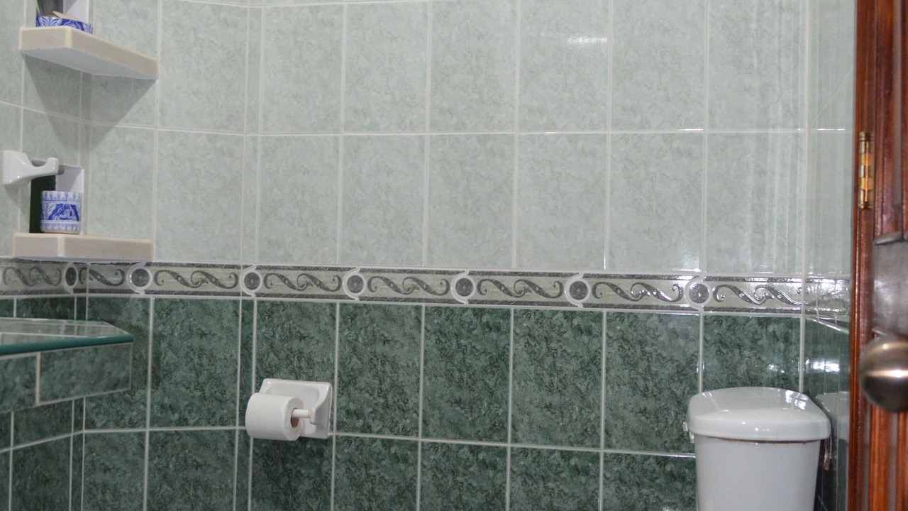 Photo of Bathroom in Colonia Andres
