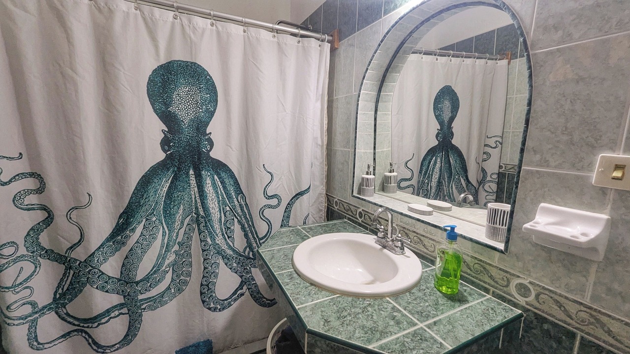 Photo of Bathroom in Colonia Andres