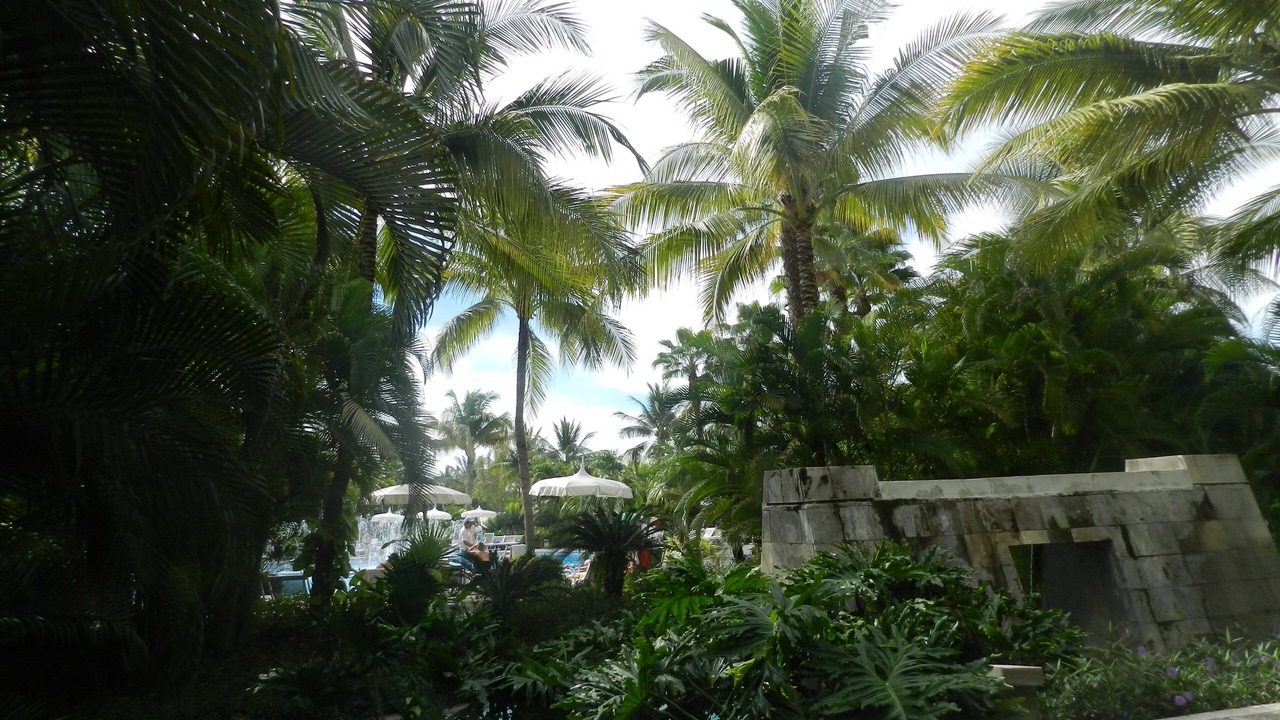 Photo of Outdoor in Uayamon