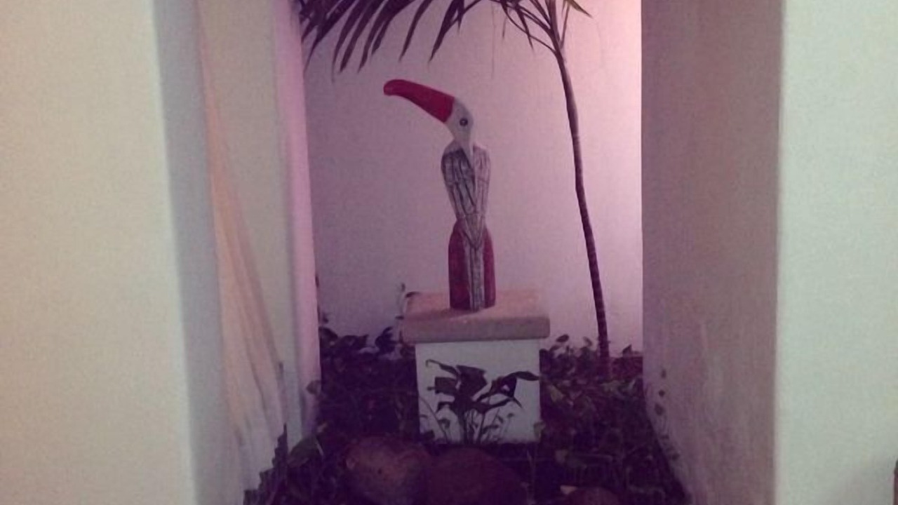 Photo of Outdoor in Punta Cancun