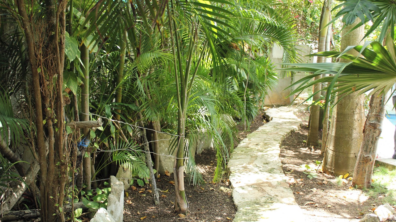 Photo of Outdoor in Colonia Centro