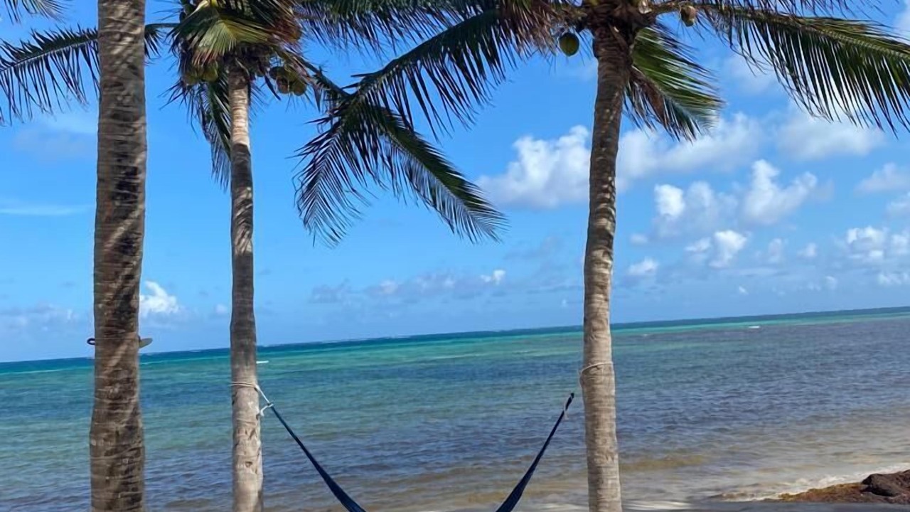 Photo of Others in Puerto Morelos