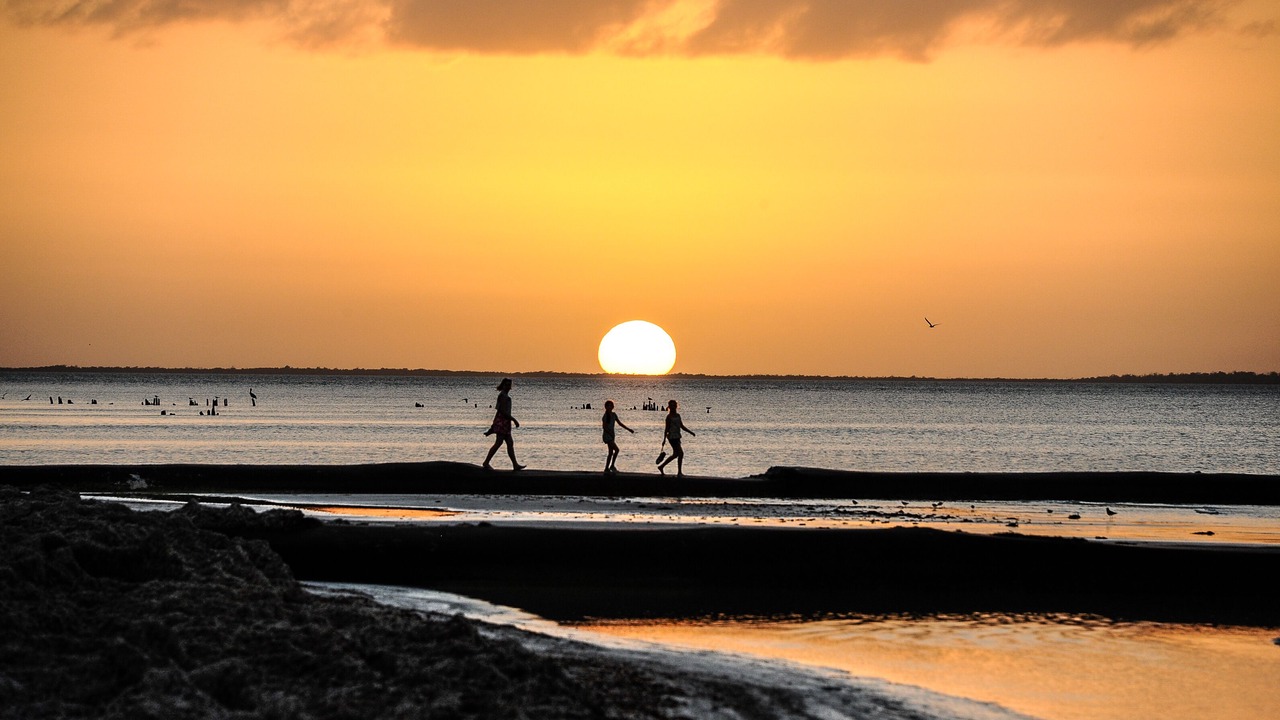 Photo of Others in Puerto Morelos