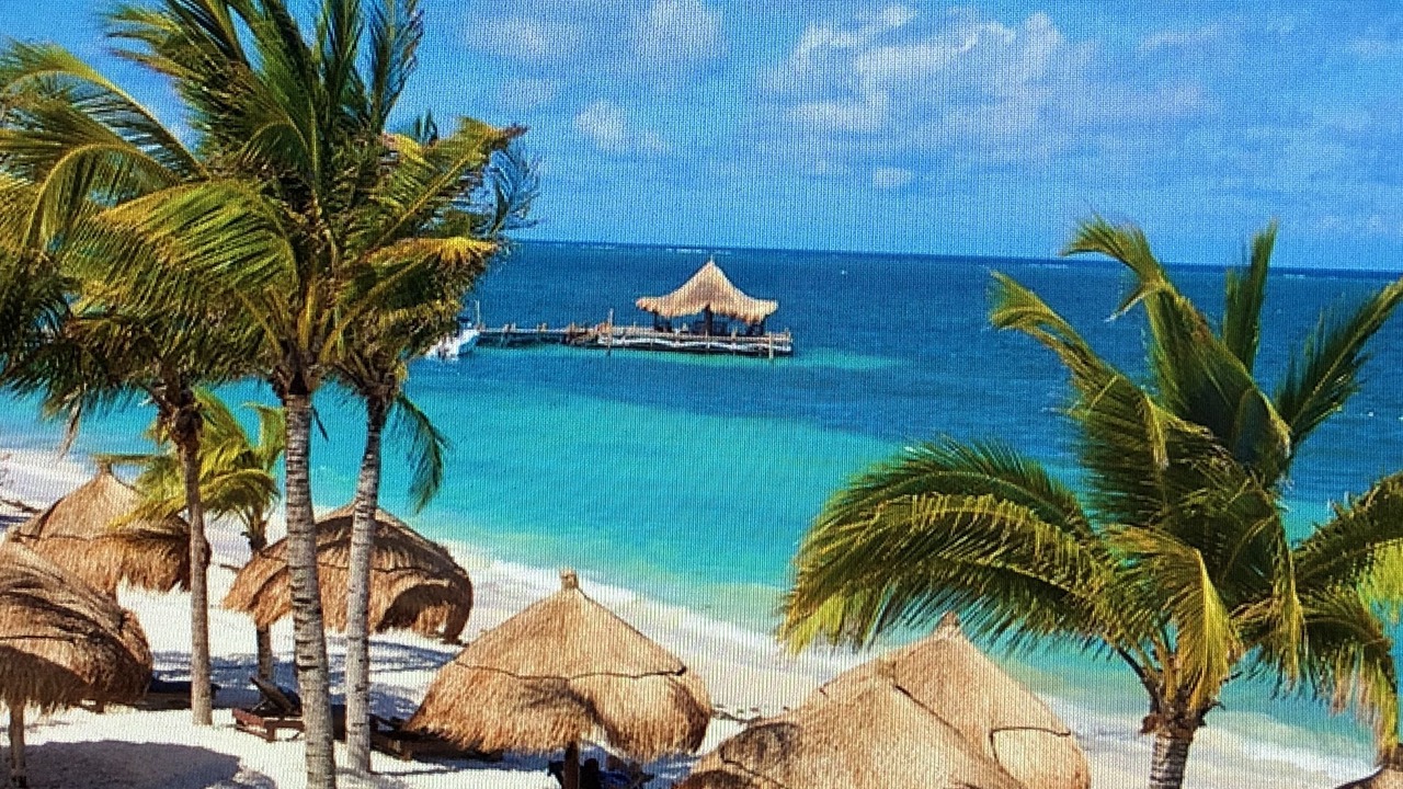 Photo of Others in Puerto Morelos