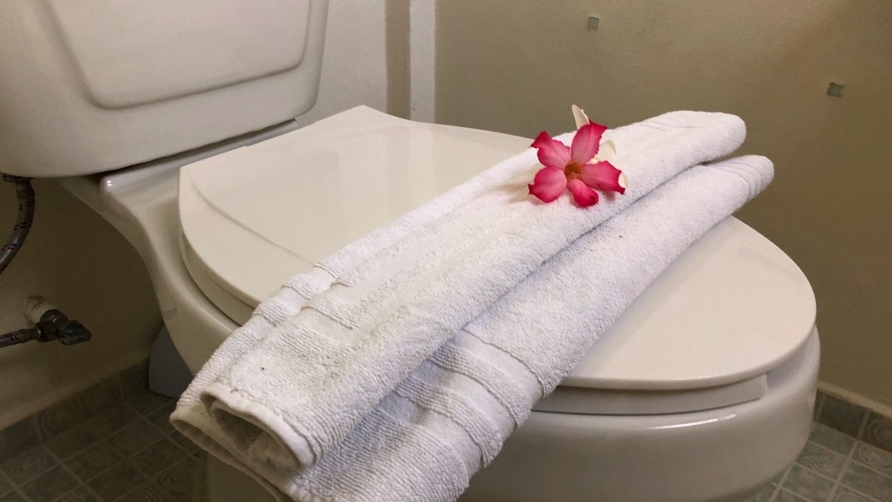Photo of Bathroom in Alfredo V. Bonfil