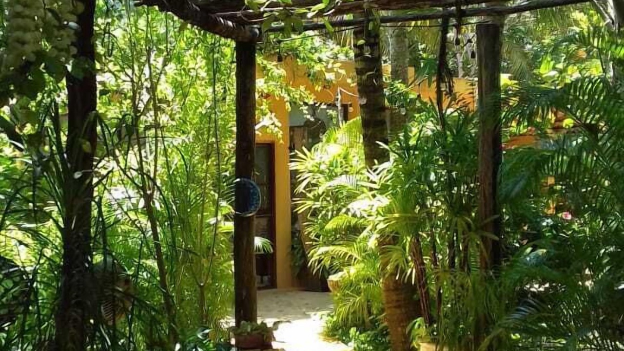 Photo of Outdoor in Alfredo V. Bonfil